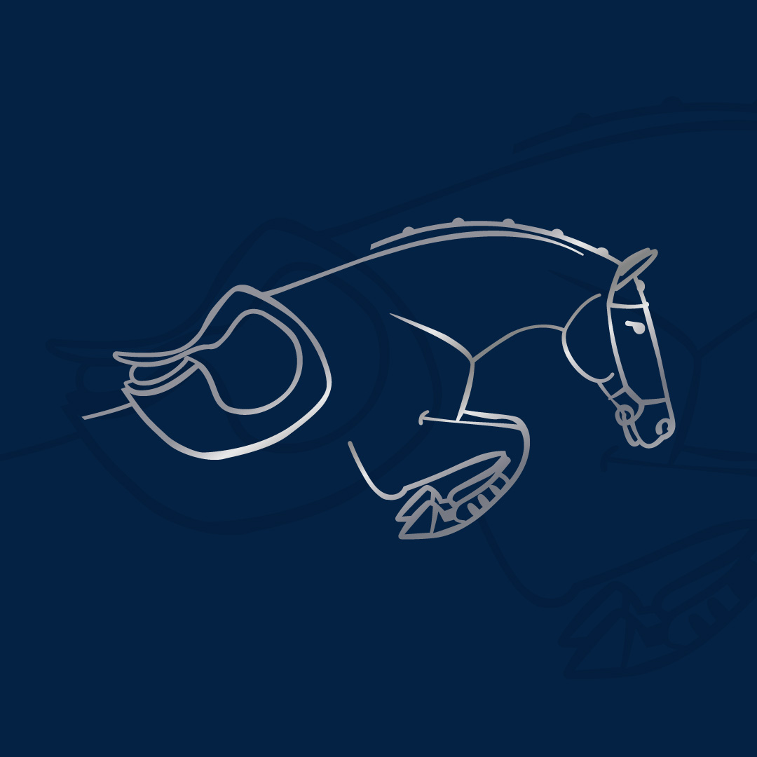 Stride Saddlefitting Icon